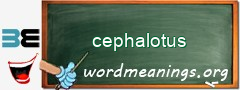 WordMeaning blackboard for cephalotus